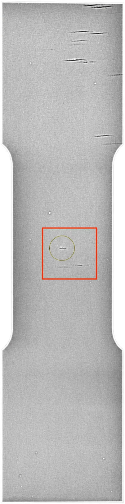 Radiograph of one flagged dog bone, with a red box marking the region that was sectioned.